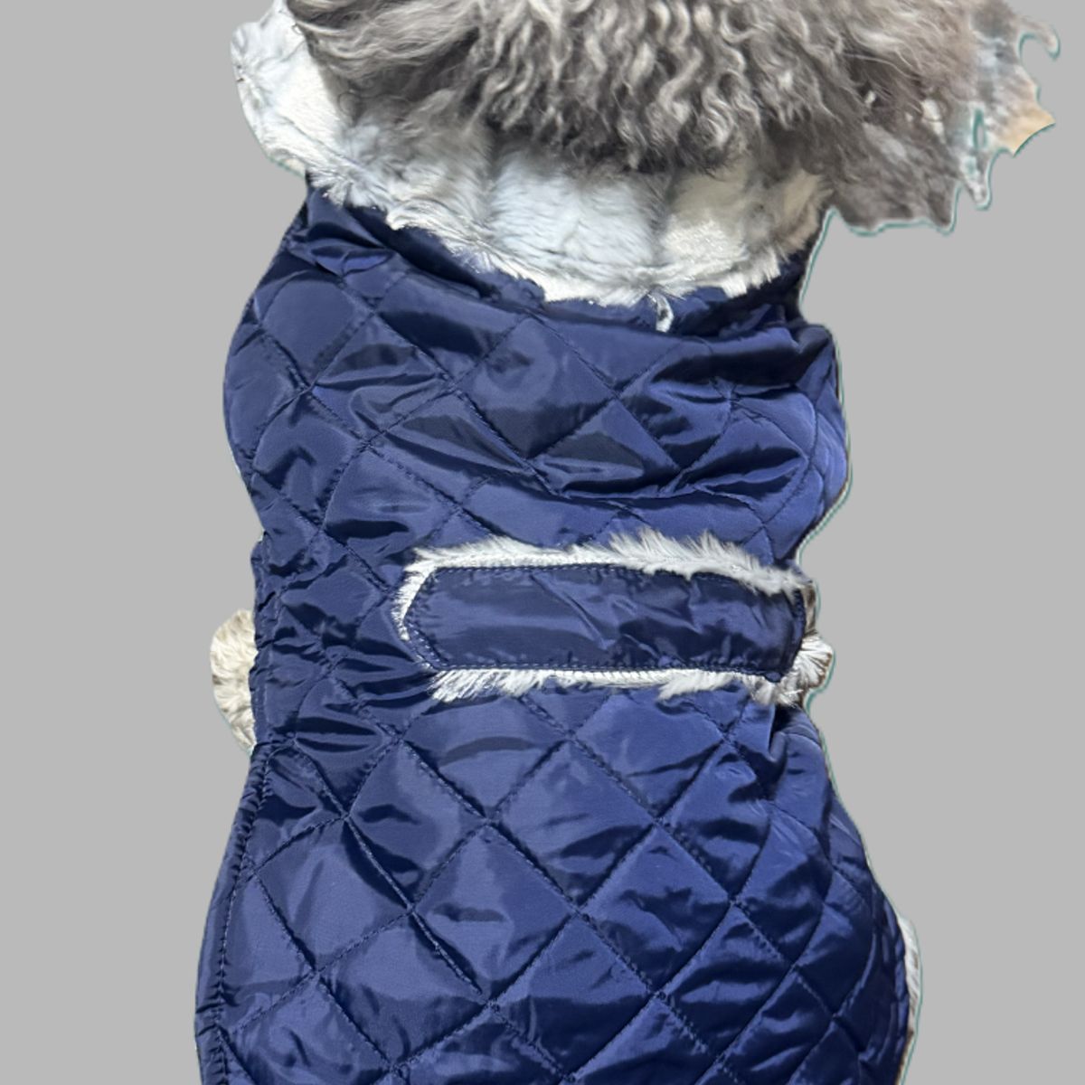 GENERICO - Capa tipo Parka con Cuello para Perros