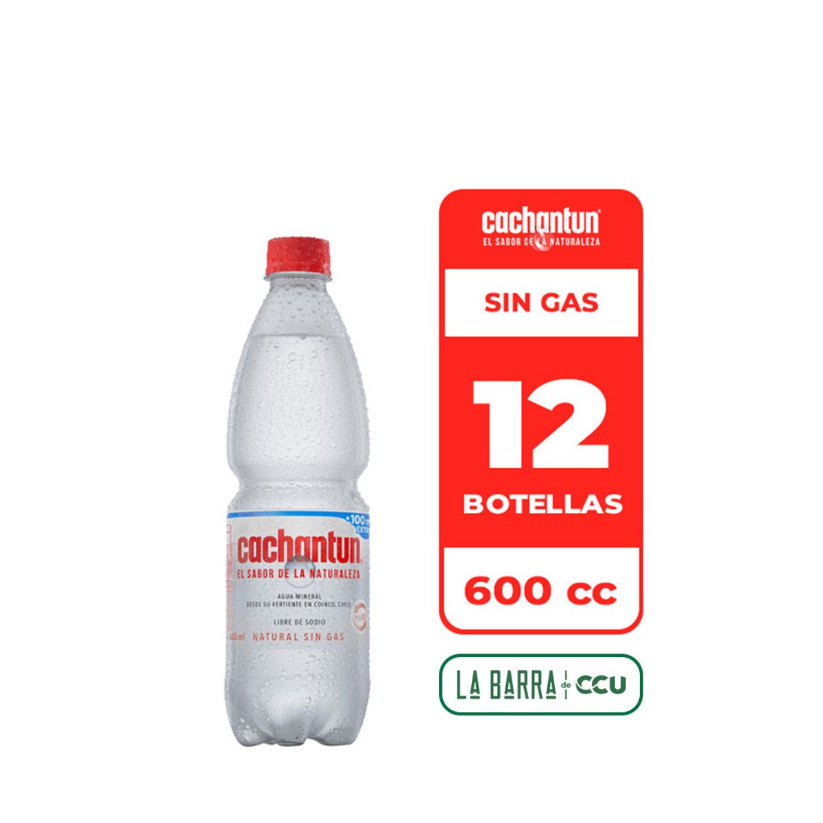CACHANTUN - 12x Agua Mineral Cachantun Sin Gas 600cc
