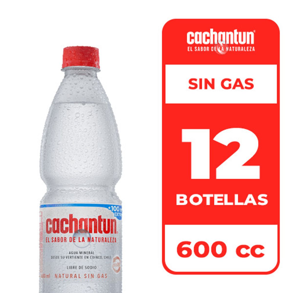 CACHANTUN - 12x Agua Mineral Cachantun Sin Gas 600cc
