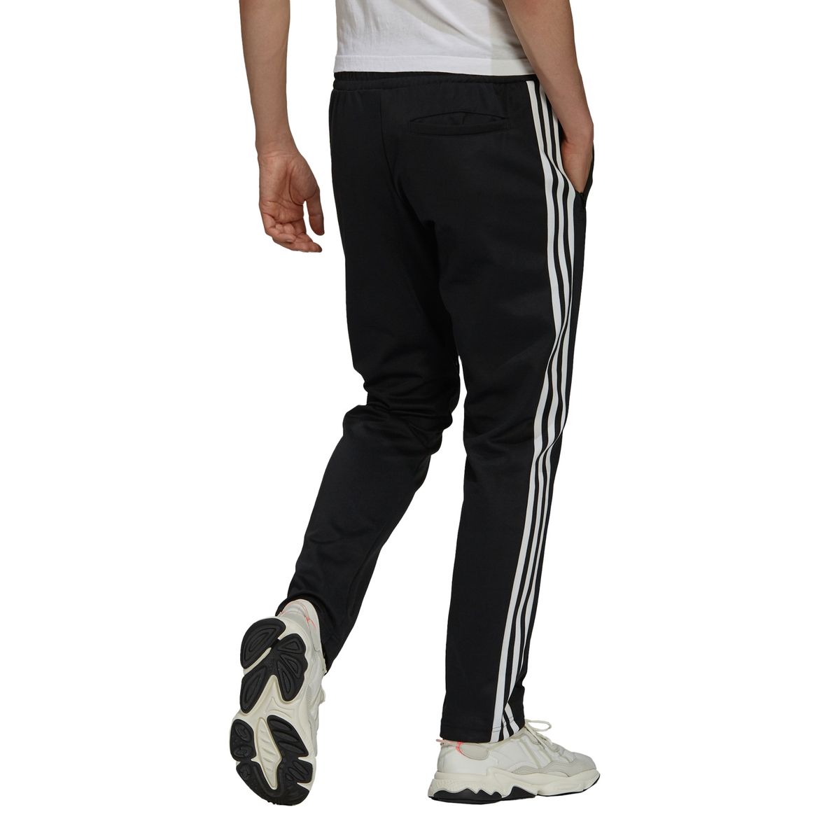 ADIDAS ORIGINALS - Pantalon De Buzo Chino Regular Hombre