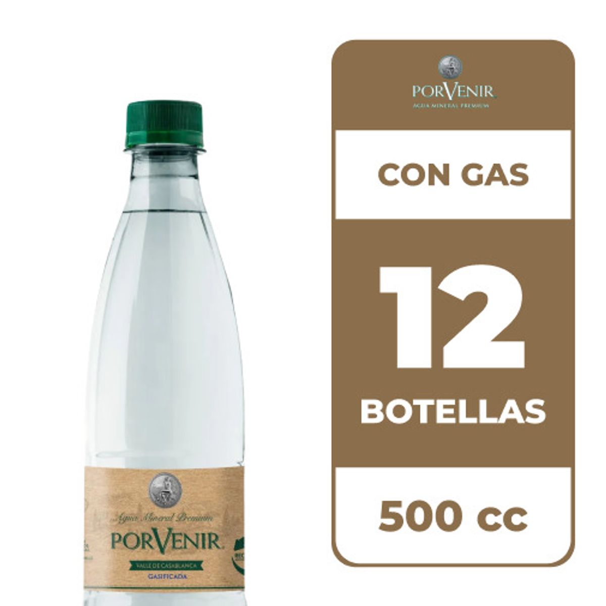 PORVENIR - 12x Agua Mineral Porvenir Con Gas 500cc