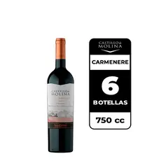 CASTILLO DE MOLINA - 6x Vino Carmenere 750cc