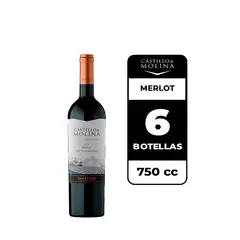 CASTILLO DE MOLINA - 6x Vino Merlot 750cc