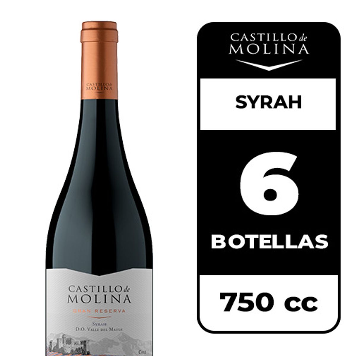 CASTILLO DE MOLINA - 6x Vino Castillo De Molina Syrah   750cc