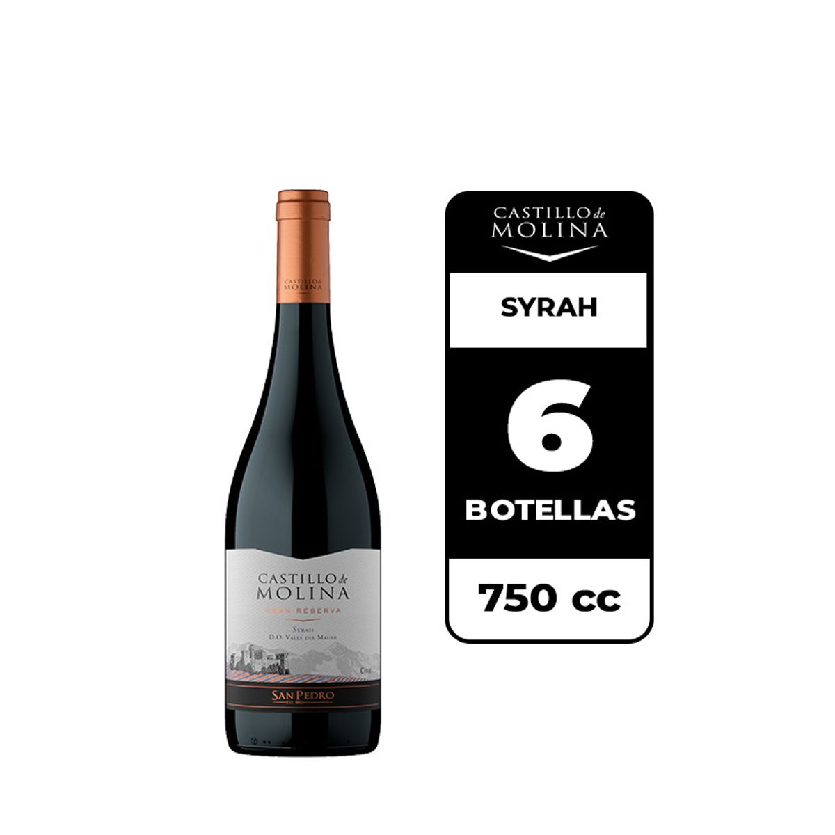 CASTILLO DE MOLINA - 6x Vino Castillo De Molina Syrah   750cc