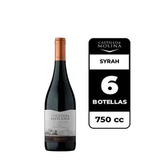 CASTILLO DE MOLINA - 6x Vino Syrah  750cc