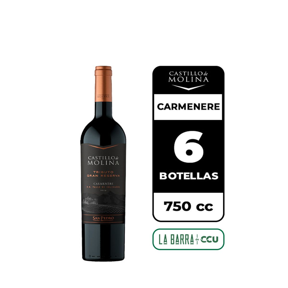 CASTILLO DE MOLINA - 6x Vino Castillo De Molina Tributo Gran Reserva Carmenere 750cc