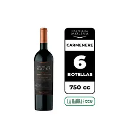 CASTILLO DE MOLINA - 6x Vino Tributo Gran Reserva Carmenere 750cc