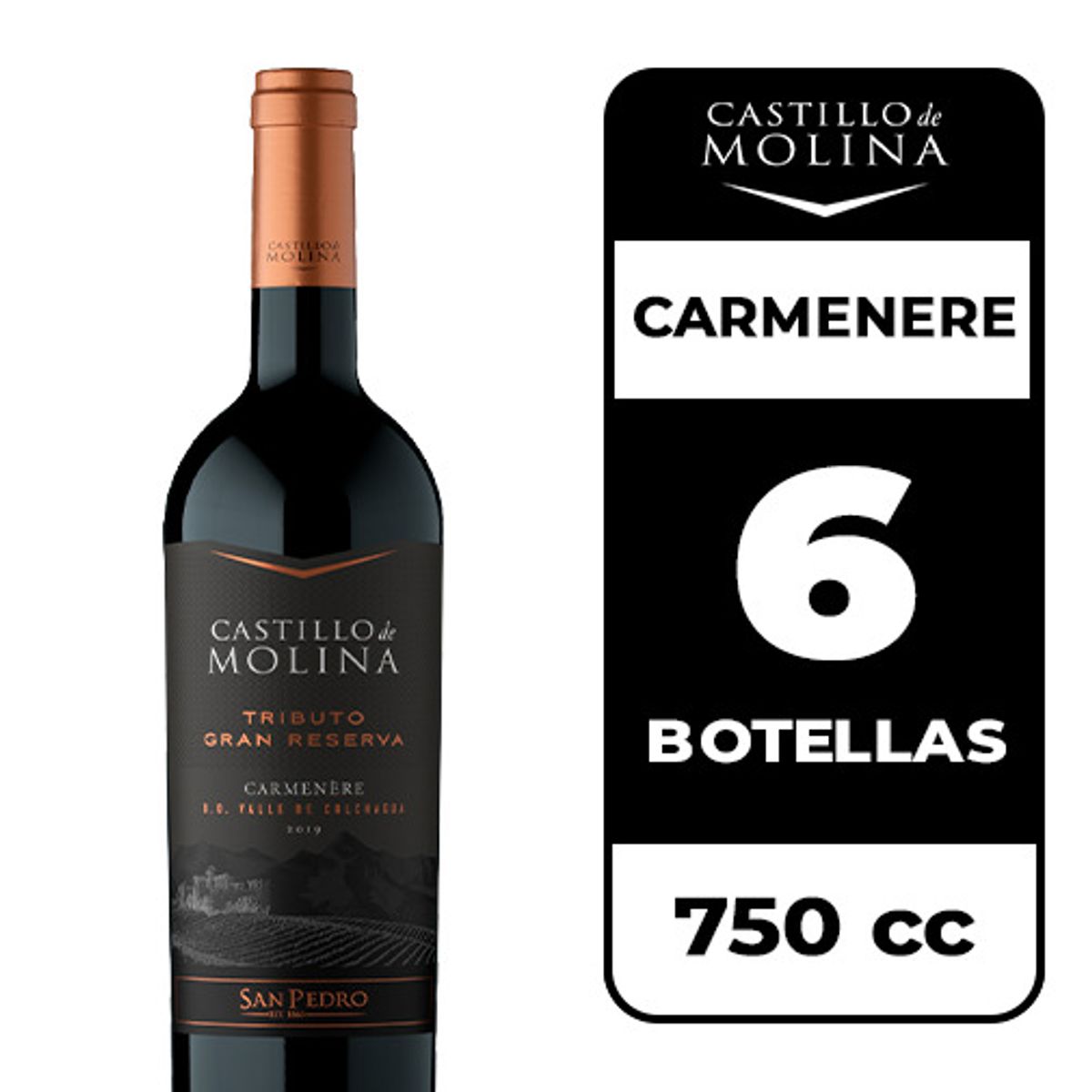 CASTILLO DE MOLINA - 6x Vino Castillo De Molina Tributo Gran Reserva Carmenere 750cc