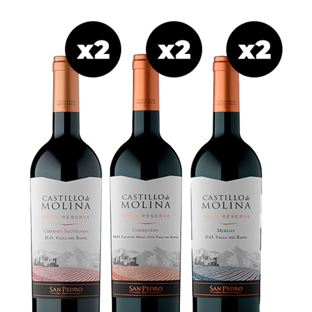 CASTILLO DE MOLINA - 6x  Vinos Castillo de Molina Cepas 750cc