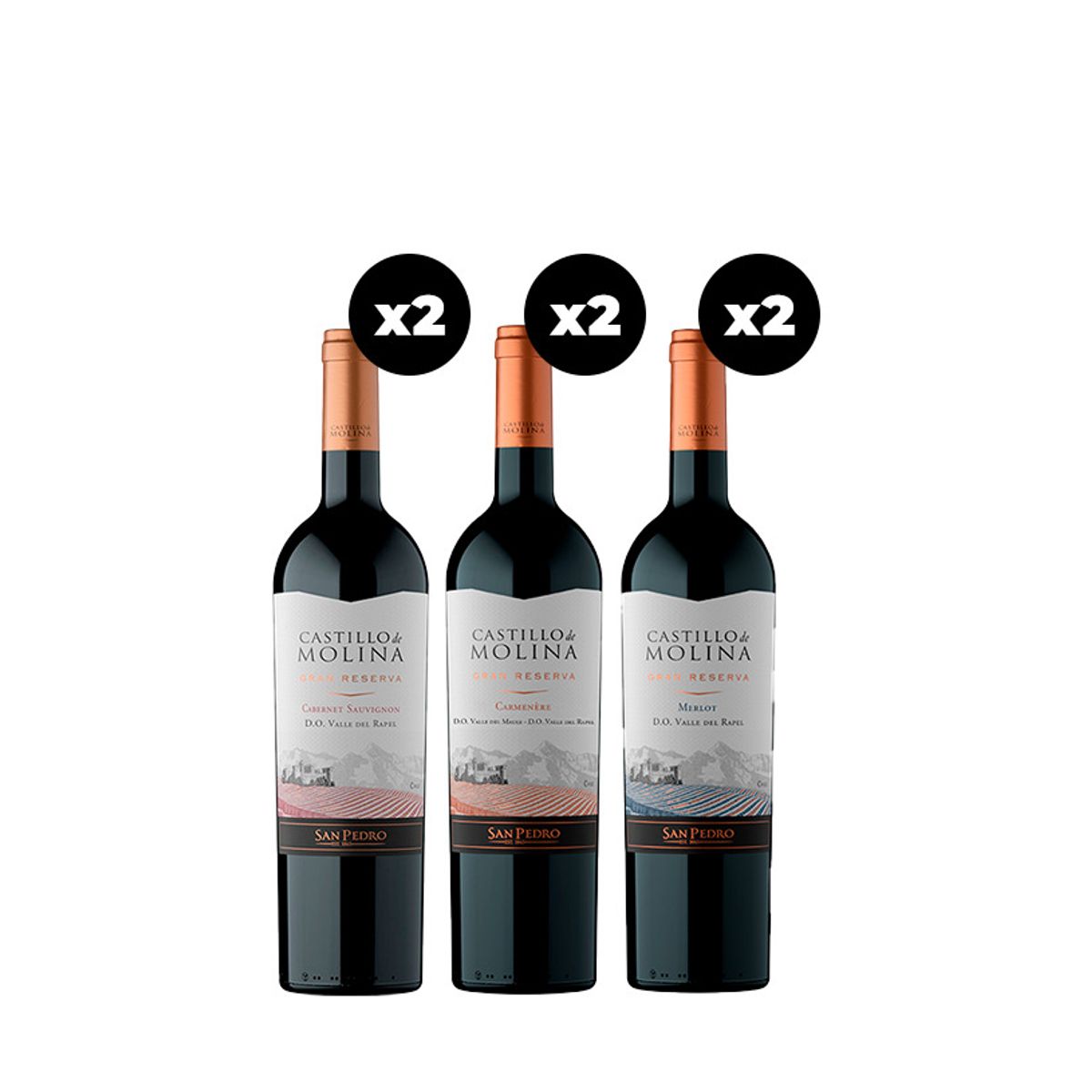 CASTILLO DE MOLINA - 6x  Vinos Castillo de Molina Cepas 750cc