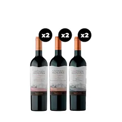 CASTILLO DE MOLINA - 6x Vinos Cepas 750cc