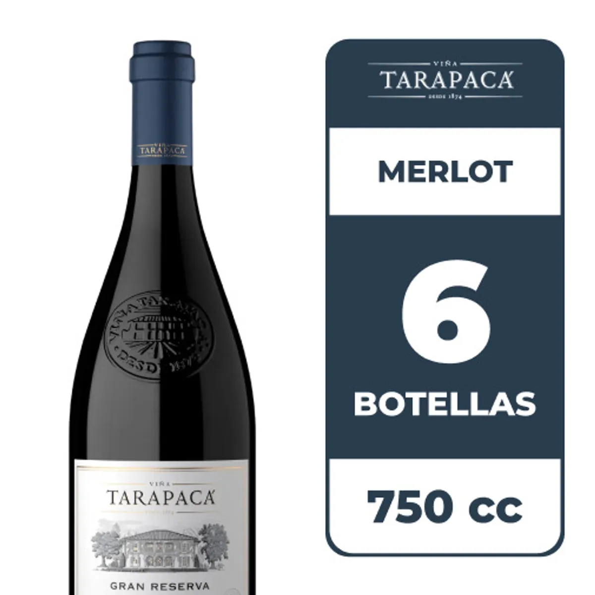 TARAPACA - 6x Vino Tarapacá Gran Reserva Merlot 750cc