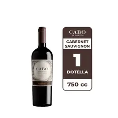 CCU - Vino Cabo De Hornos Cabernet Sauvignon 750cc