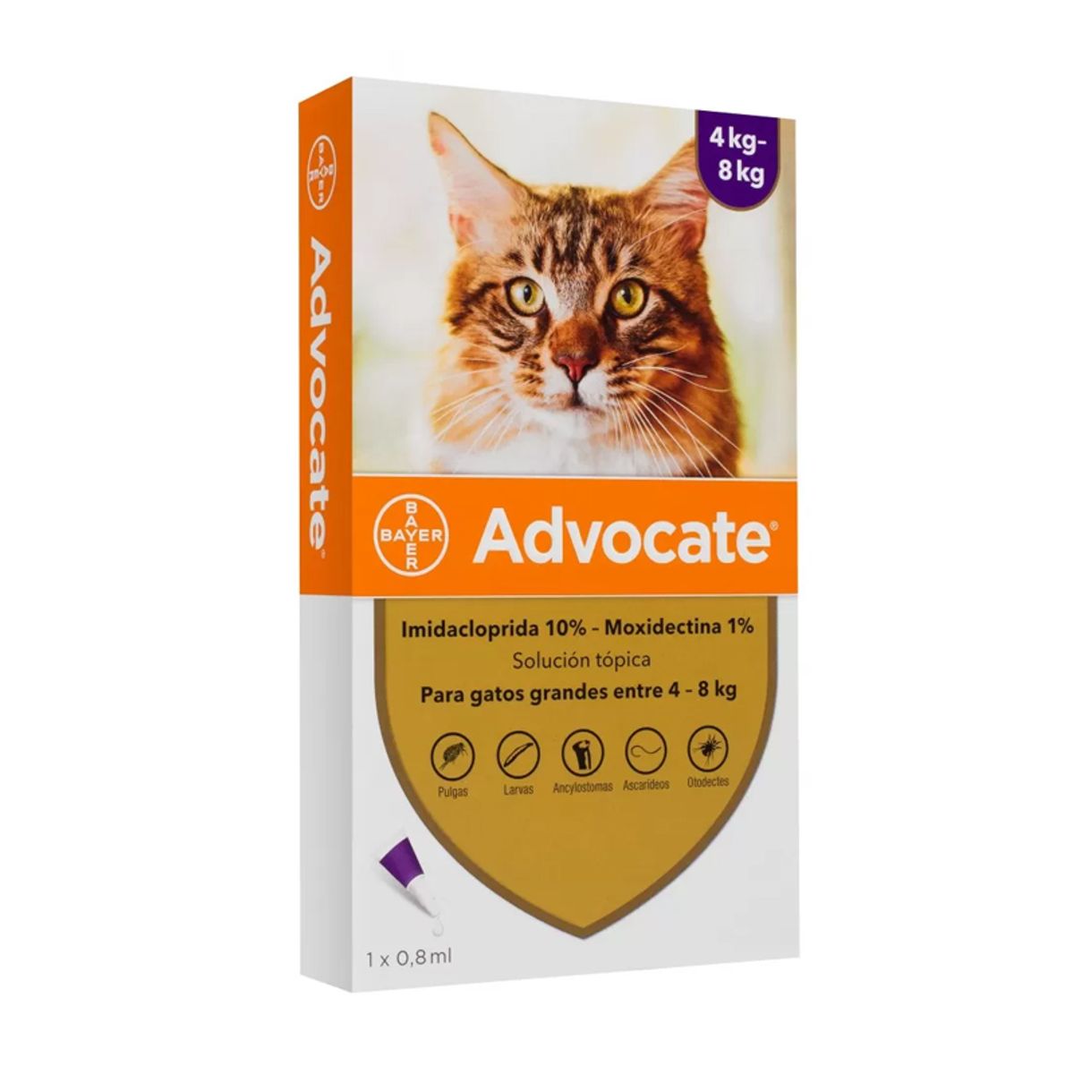 ELANCO - Advocate Gatos de 4 a 8 Kg 1 Pipeta 0.8 Ml