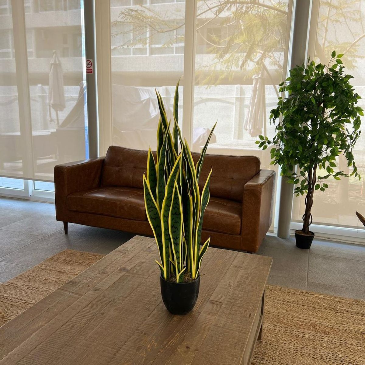 ARBUSTO REAL - Decoracion Interior Planta Artificial Lengua de Suegra Sansevieria - Verde - mediano