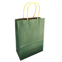 GENERICO - BOLSA REGALO KRAFT VERDE 15X21X8 X12 UNI