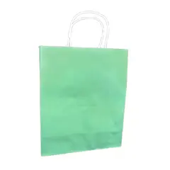 GENERICO - BOLSA REGALO KRAFT PASTEL MENTA 21 X 27 X 11 X12 UNI