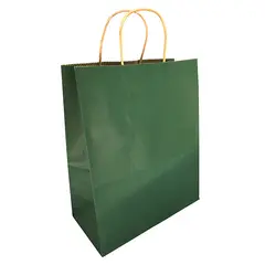 GENERICO - BOLSA REGALO KRAFT VERDE 21X27X11 X12 UNI