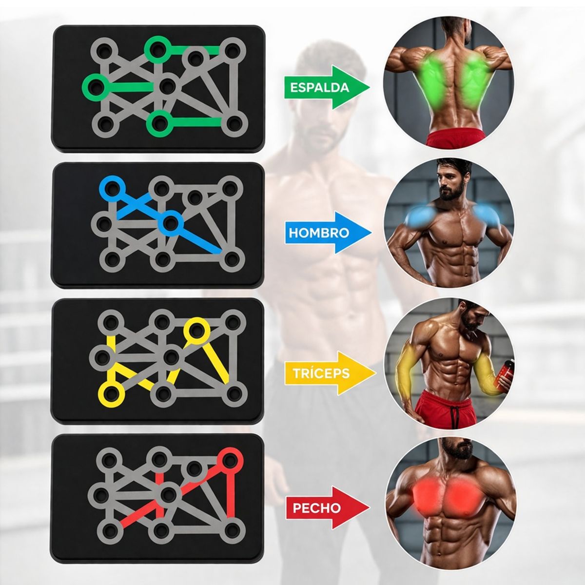 MOVI - TABLA DE FLEXIONES, TRABAJA TUS MUSCULOS