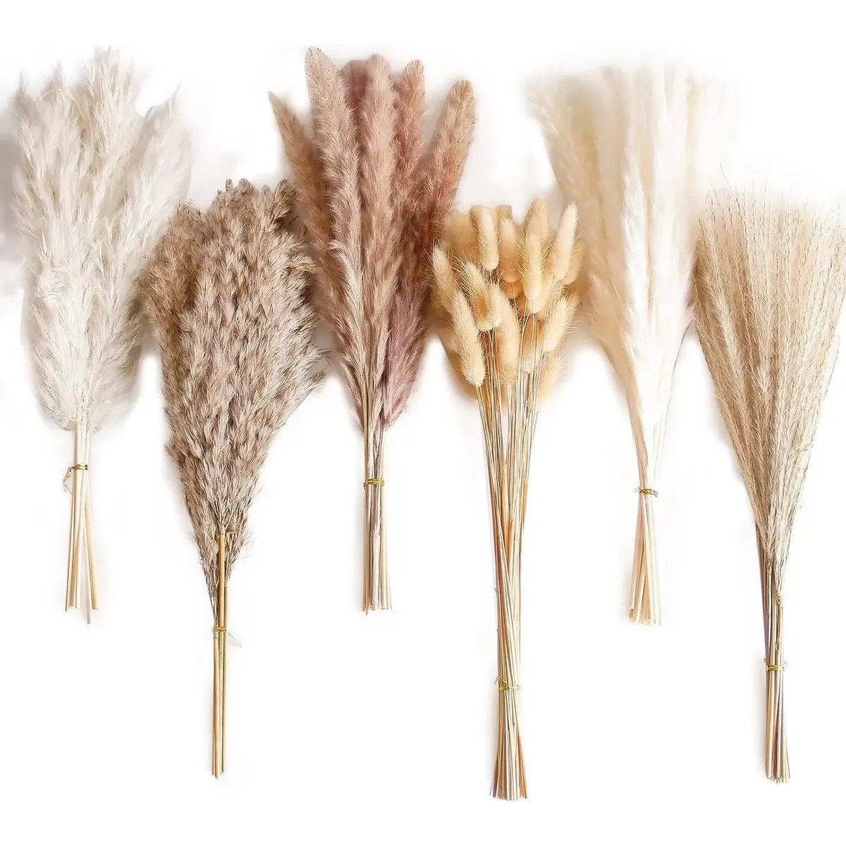 GENERICO - 110 Pcs Ramo De Flores Secas Pampas Grass Y Cola De Conejo BELUG