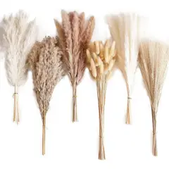 GENERICO - 110 Pcs Ramo De Flores Secas Pampas Grass Y Cola De Conejo BELUG