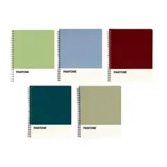 GENERICO - Pack 5 Cuadernos Universitario Nature Color 100 Hojas 7mm
