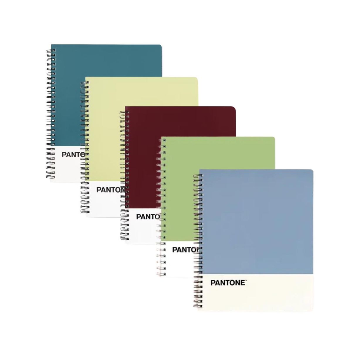 GENERICO - Pack 5 Cuadernos Universitario Nature Color 100 Hojas 7mm