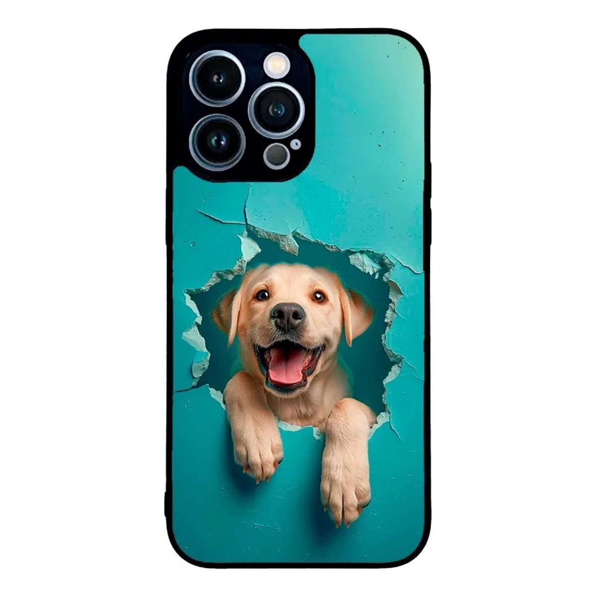 CARCASIA - Carcasa Funda para IPHONE 13 PRO Diseño 146