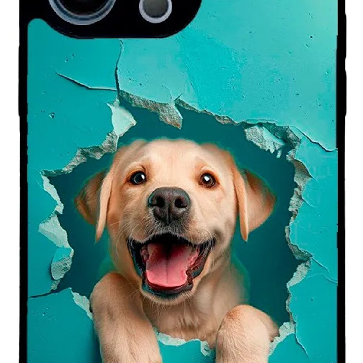 CARCASIA - Carcasa Funda para IPHONE 13 PRO MAX Diseño 146
