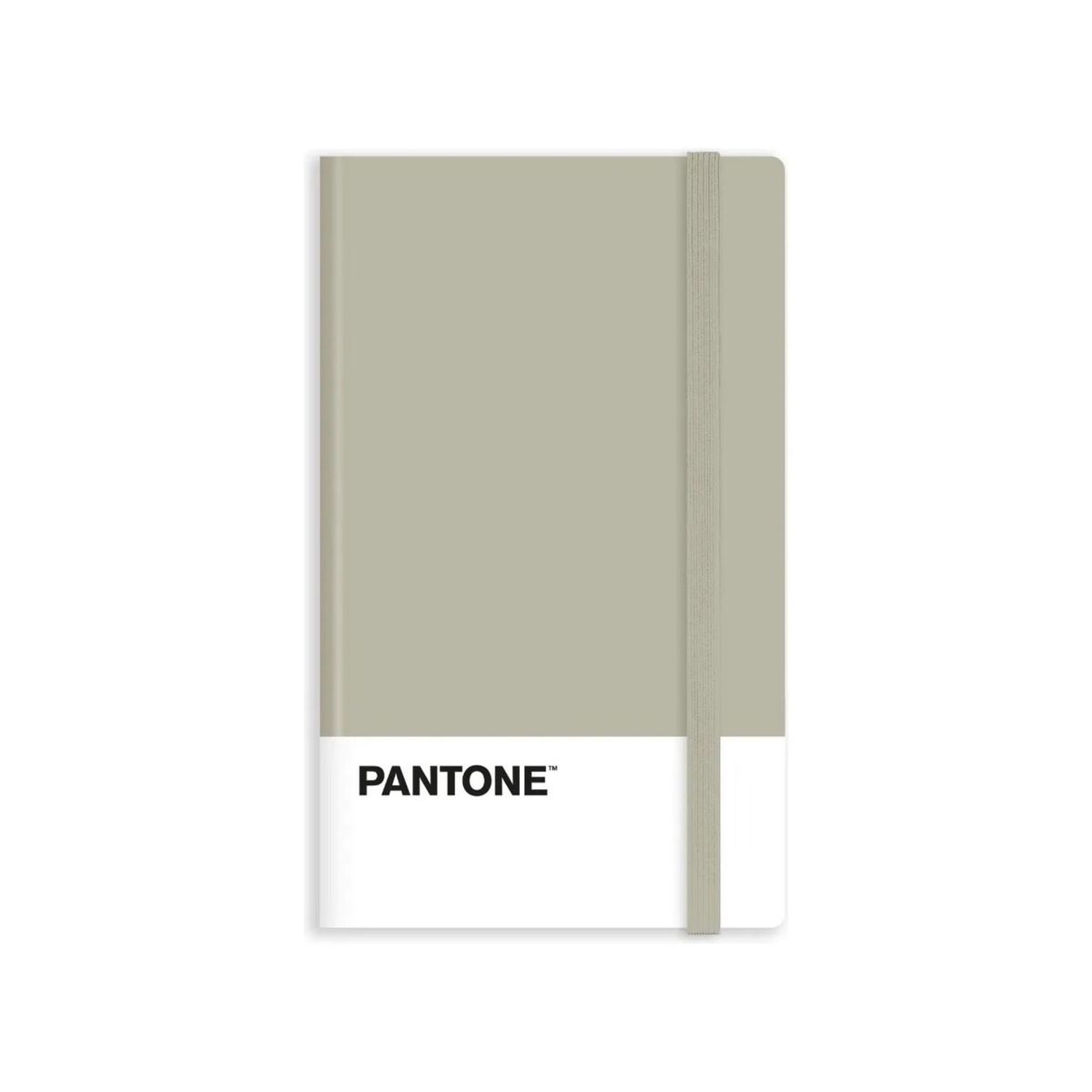 GENERICO - Libreta Grande 21x13cm Con Elastico. Pantone - Beige