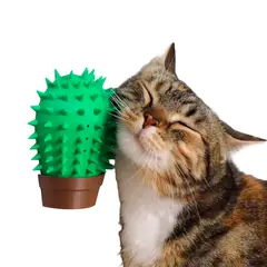 GENERICO - Rascador Para Gatos - Figura De Cactus