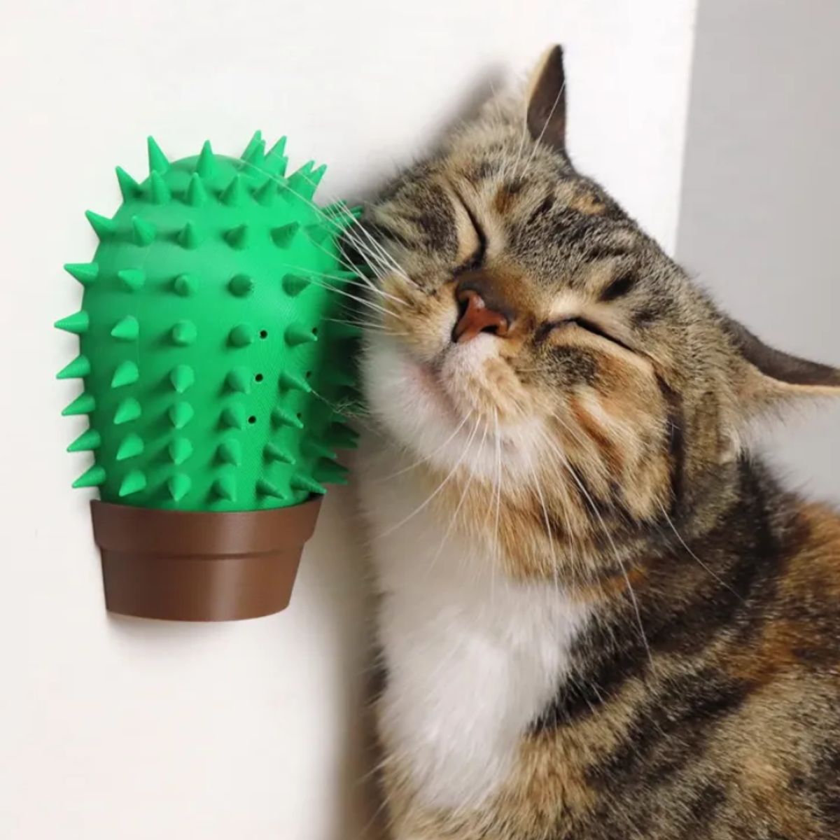 GENERICO - Rascador Para Gatos - Figura De Cactus