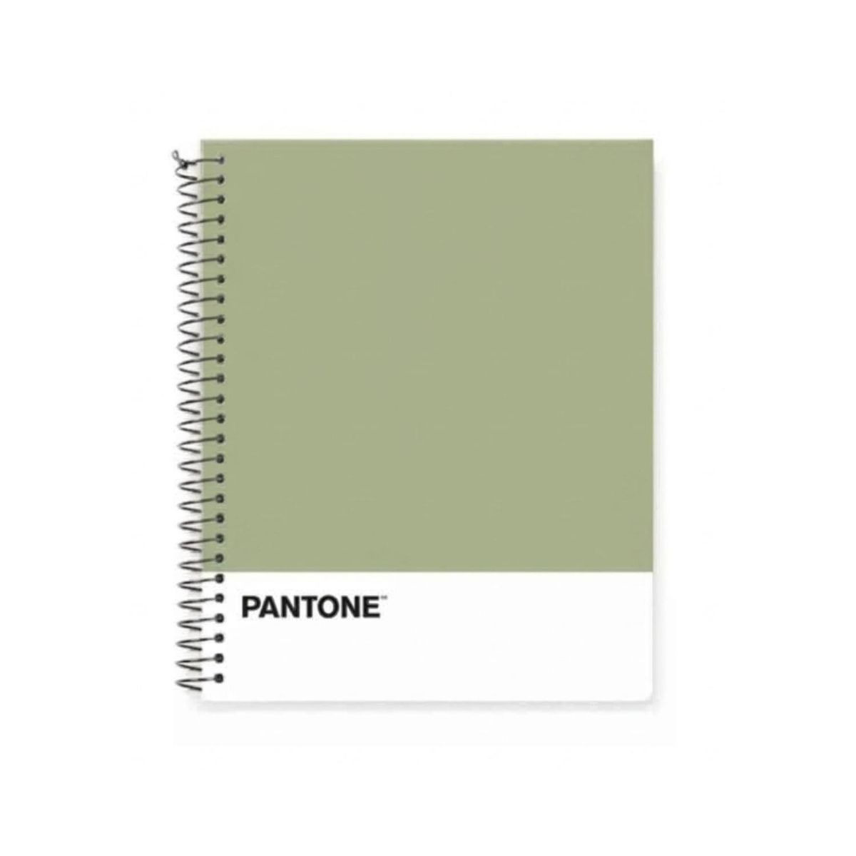 GENERICO - Cuaderno Medio Oficio 17x21,2cm 150 Hojas. Pantone - Beige