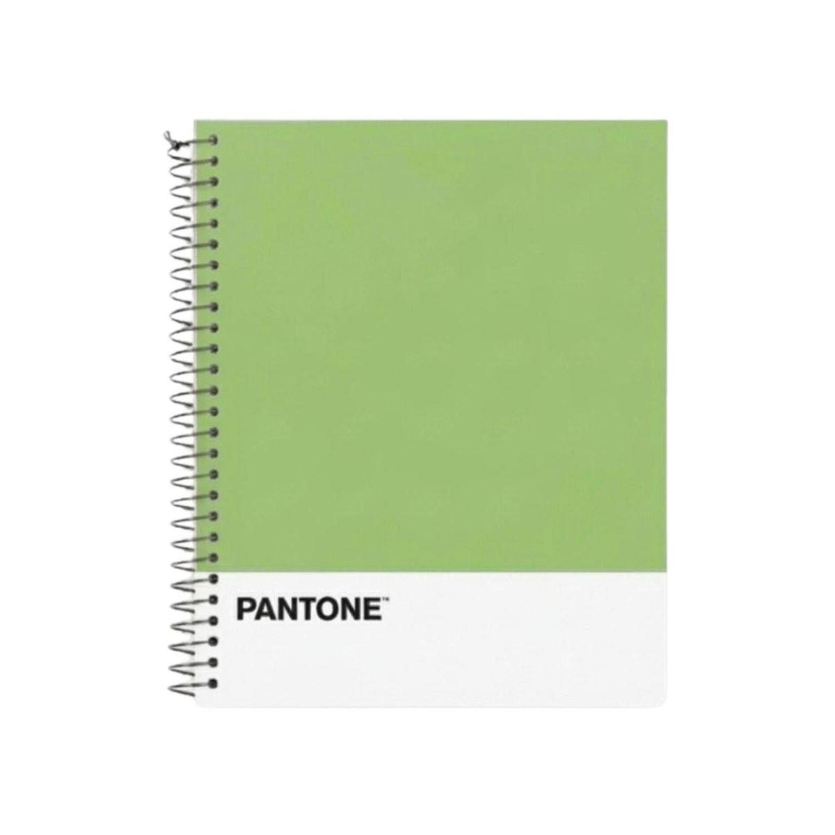 GENERICO - Cuaderno Medio Oficio 17x21,2cm 150 Hojas. Pantone - Verde