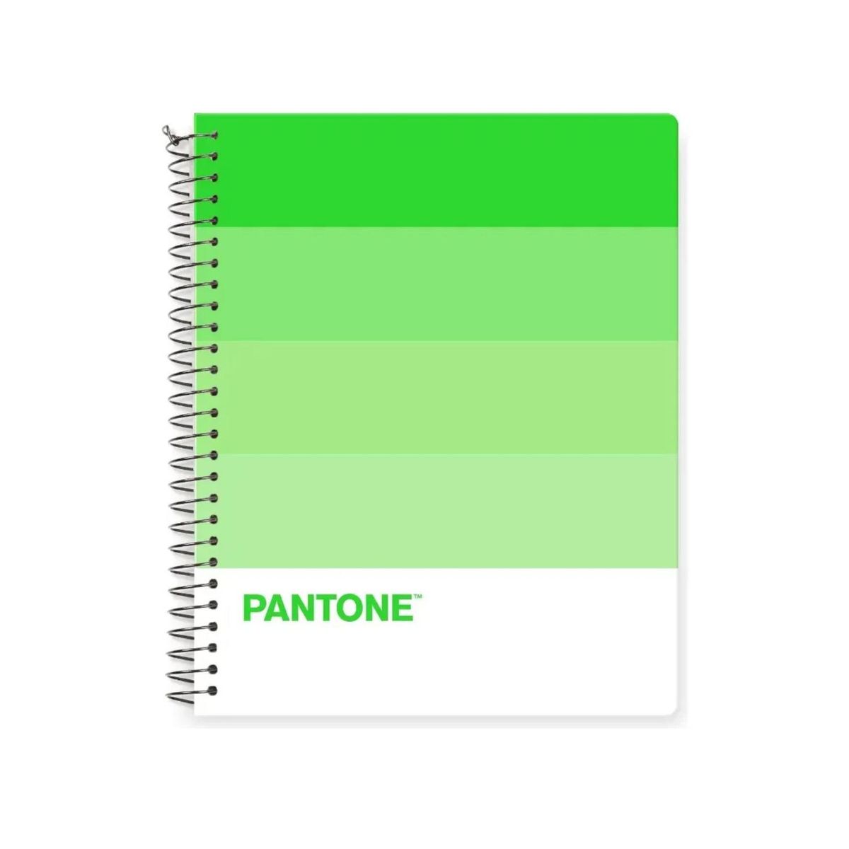 GENERICO - Cuaderno Medio Oficio 17x21,2cm 150 Hojas. Pantone - Verde