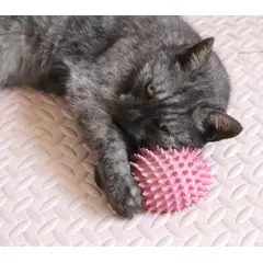 GENERICO - Rascador Para Gatos - Figura De Erizo