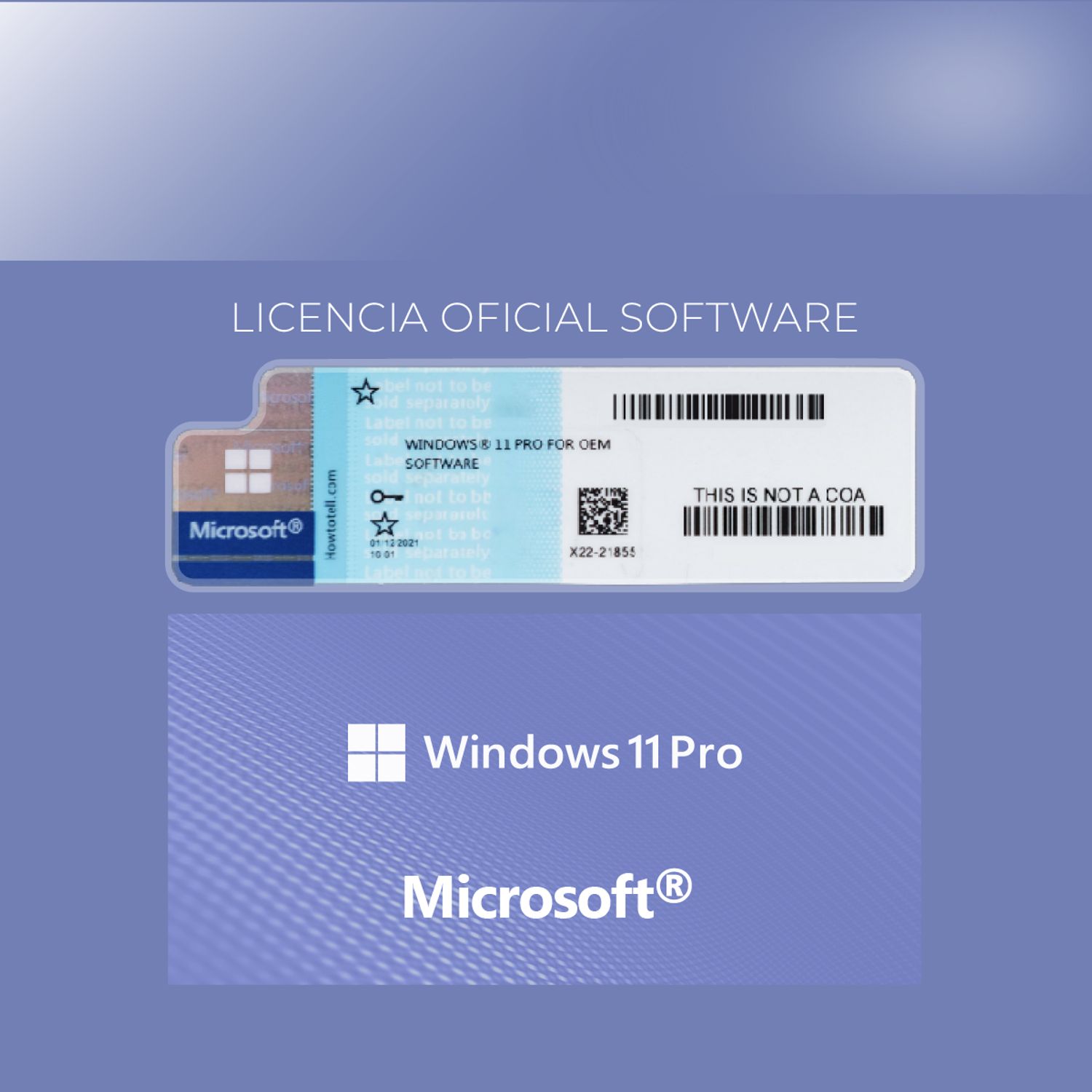 OZXEN Notebook OzXen Aurax Pro 15.6