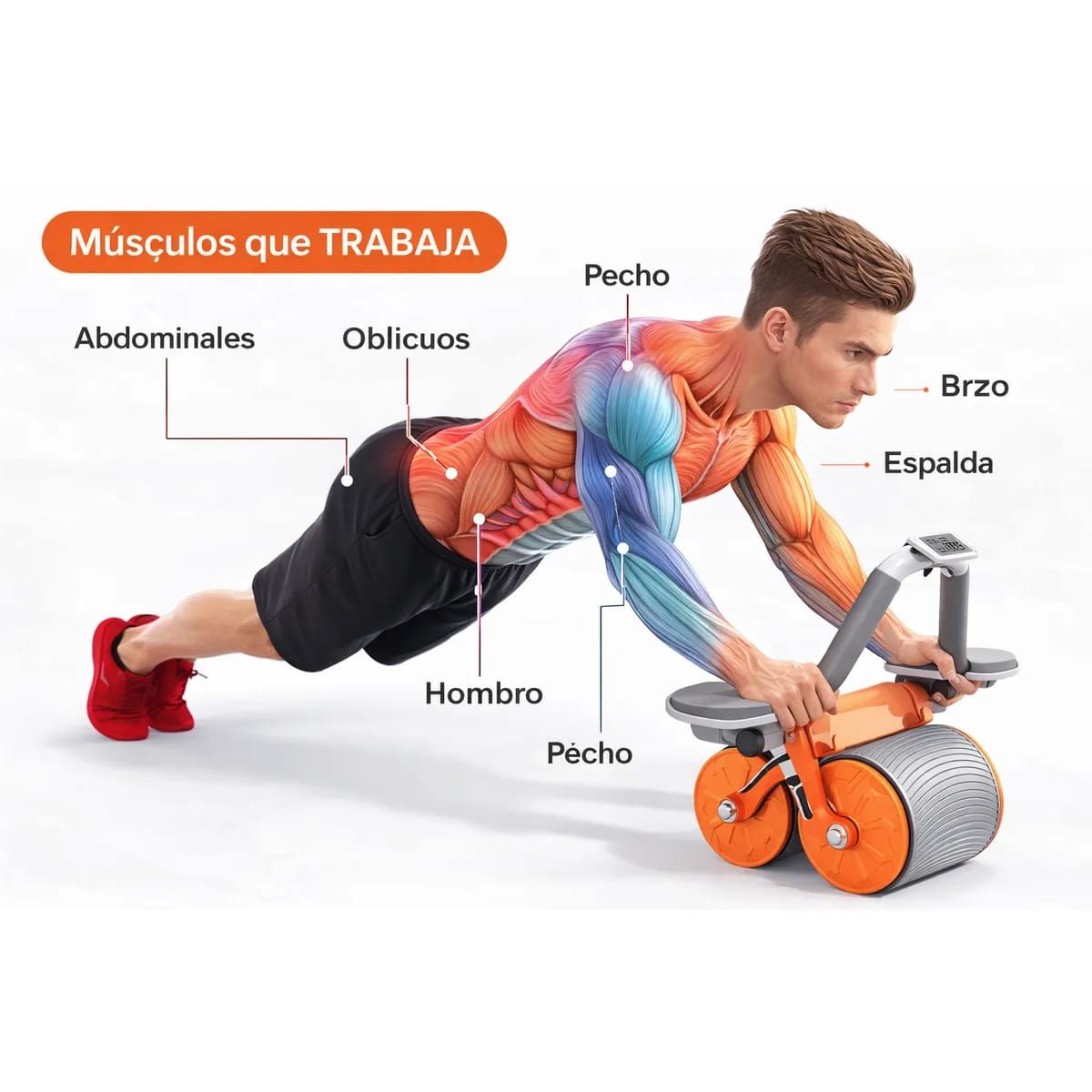 MOVI - RUEDA ABDOMINAL PROFESIONAL DE DOBLE RUEDA