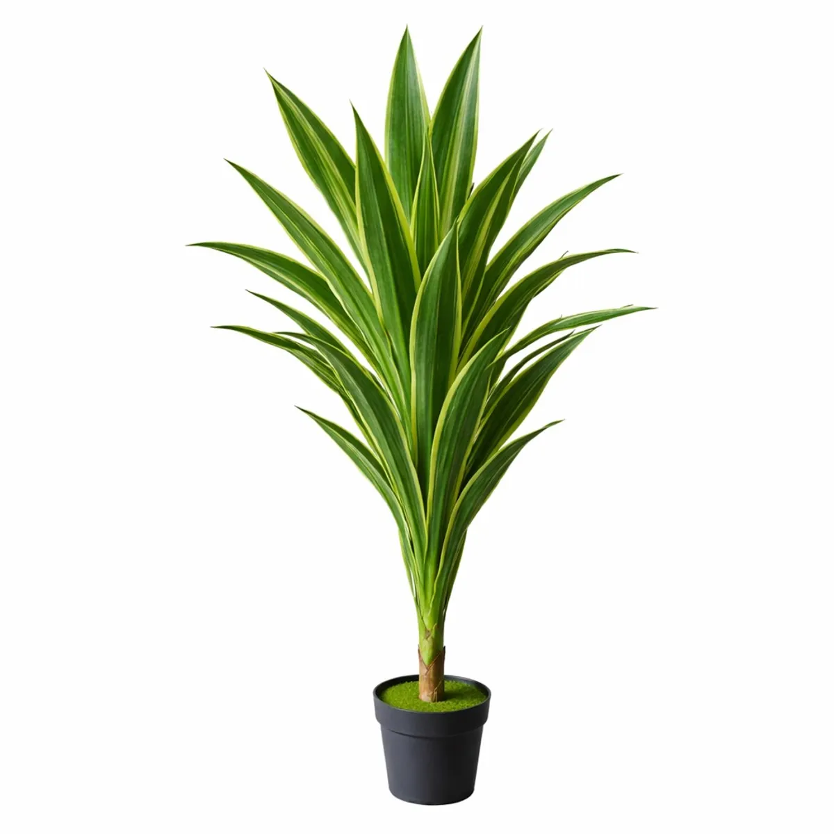 ARBUSTO REAL - Drácaena Artificial Grande 160 cm Planta Decorativa Interior