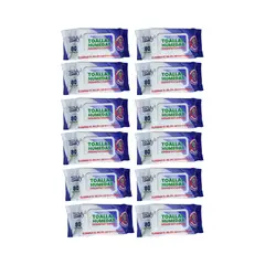 GENERICO - Pack 12 Toallitas Desinfectantes Teddy 80un C/U.