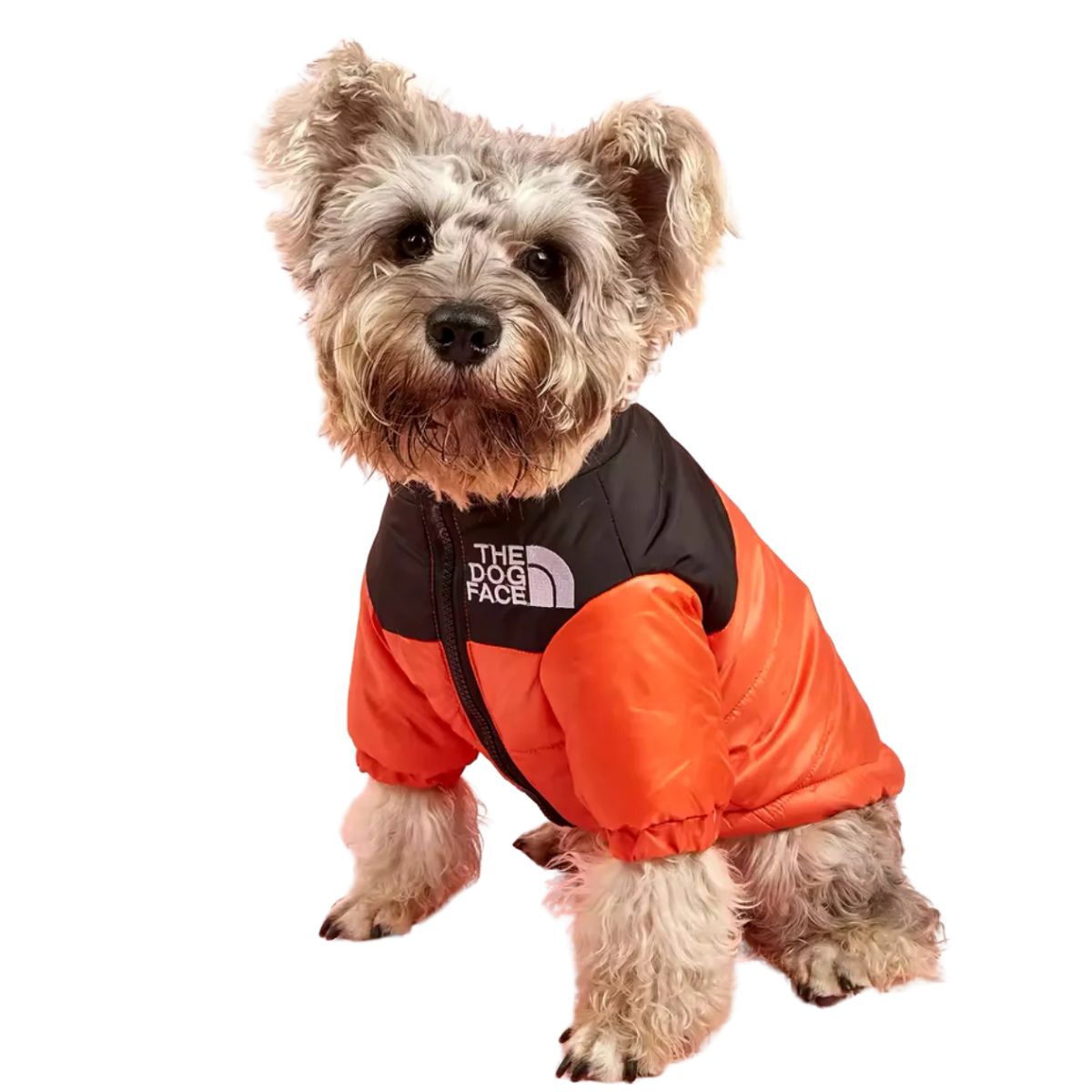 GENERICO - parka para perro the dog face naranja TALLA S