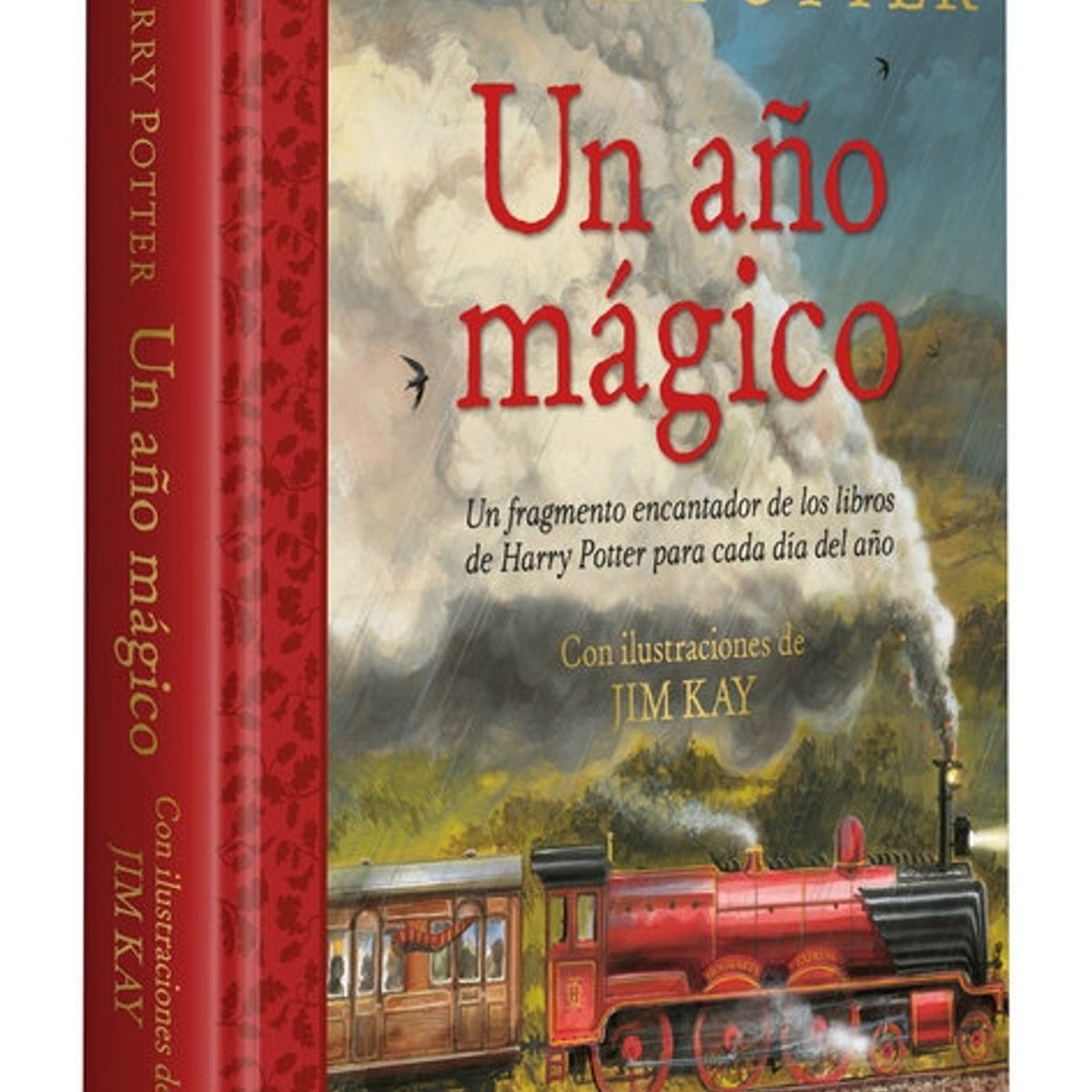 SALAMANDRA - Libro Harry Potter Un Año Mágico - J. K. Rowling  Jim Kay