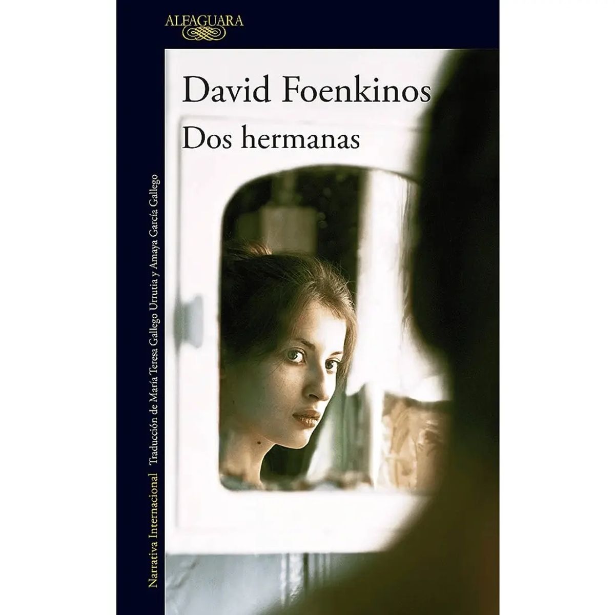 ALFAGUARA - Dos Hermanas - Foenkinos, David