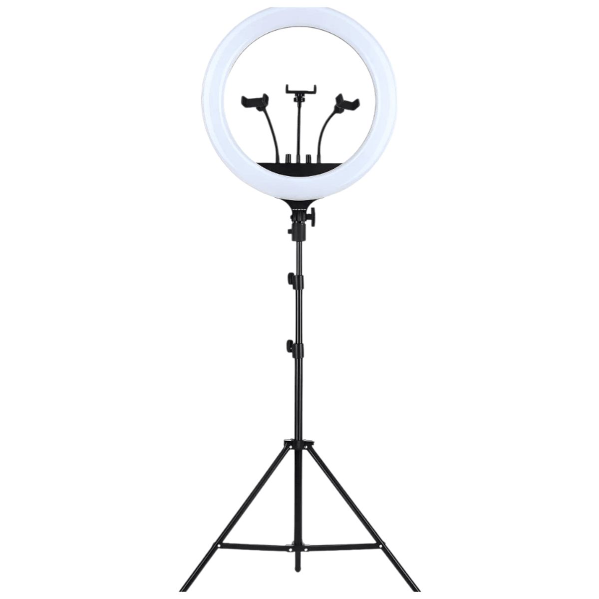 MALIK - Aro de Luz LED 56 cm LJJ-56 con Trípode Profesional