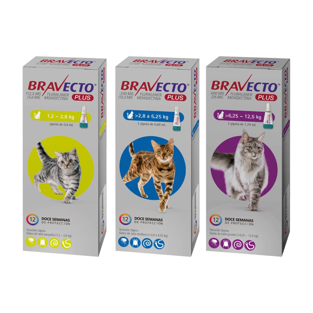 BRAVECTO - Antipulgas Gato 2.8 a 6.25Kg