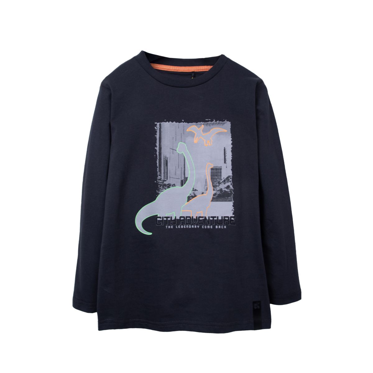 PILLIN - Polera Gris Niño Apache PVD607-26MAR