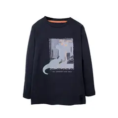 PILLIN - Polera Gris Niño Apache PVD607-26MAR