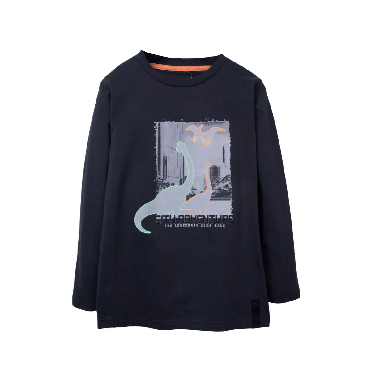 PILLIN - Polera Gris Niño Apache PVD607-26MAR