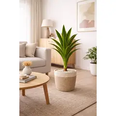 ARBUSTO REAL - Drácaena Planta Artificial 120 cm Decorativa Interior Falsa